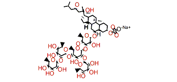 Asterosaponin 1